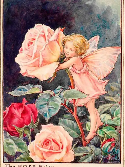 花仙子第十二弹图片分享