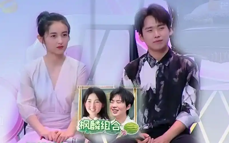 【枫林】【郭麒麟×张子枫】节目全糖点剪辑 | 太甜了太甜了太甜了