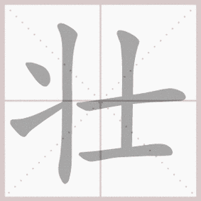 壮- 生字笔顺演示