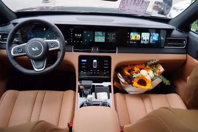 理想one 全车装贴xpel-ares漆面保护膜案例