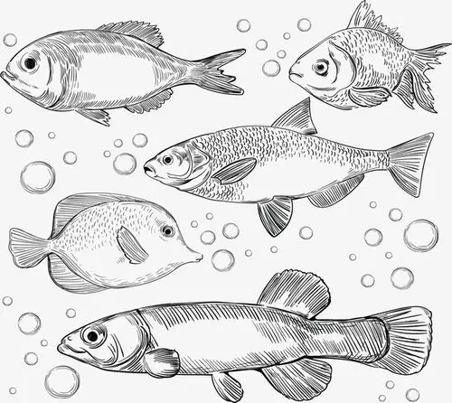 手绘风海洋中的鱼群