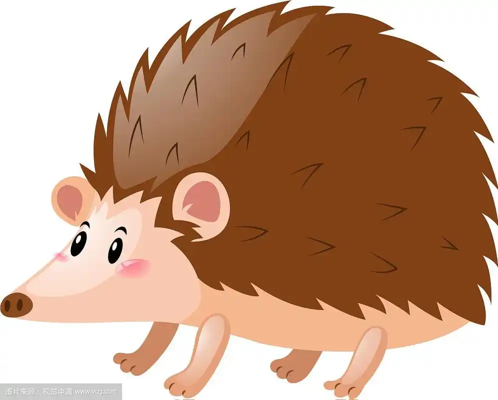 白色背景上的小刺猬