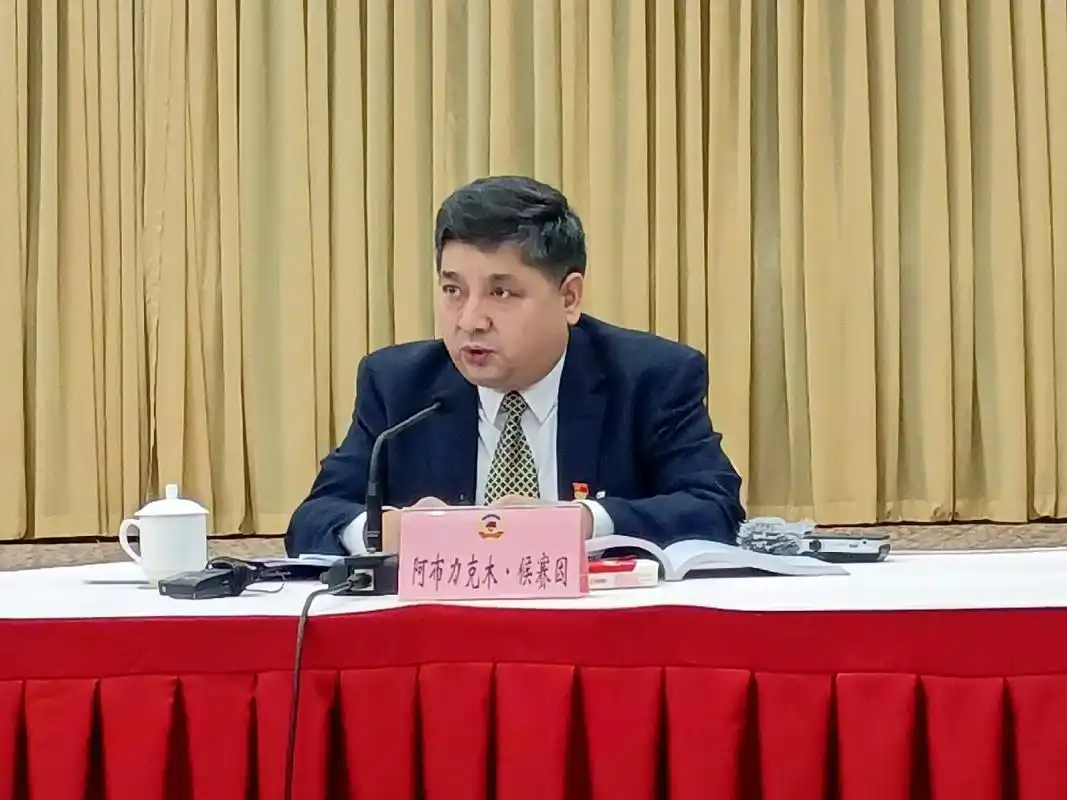 政协委员,新疆品牌经济研究院院长,高级经济师阿不力克木·候赛因回答