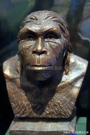 20世纪60年代中期在陕西蓝田县境内发现的猿人化石,被称为蓝田人.