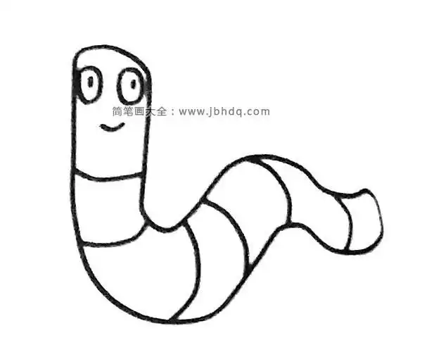 简笔画蚯蚓各部分名称