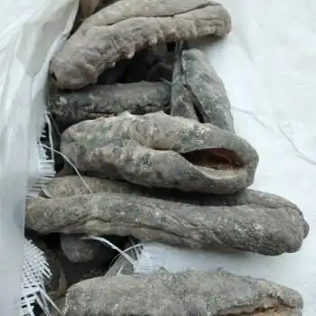 猪婆参 澳洲非州南美洲野生海参 特级白石参 淡干货 酒店供应.