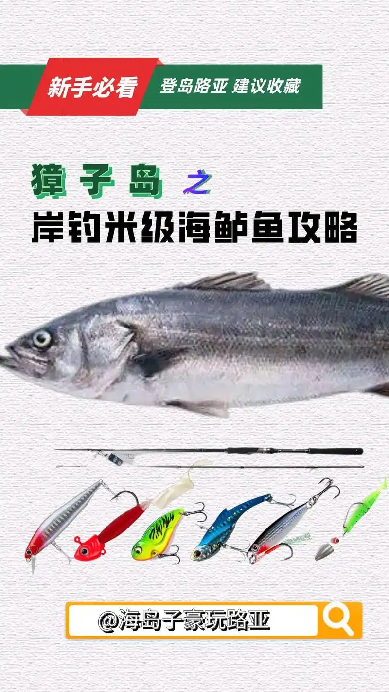 首次登岛路亚如何钓到米级鲈鱼!记92收藏.#图文伙伴计划 # - 抖音