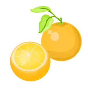 橘子水果装饰插画