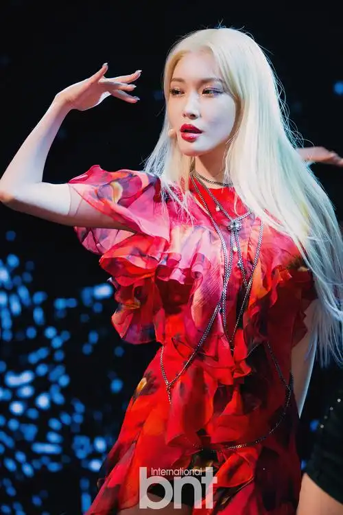 bnt新闻/供稿 phoebe/文 金致允/图