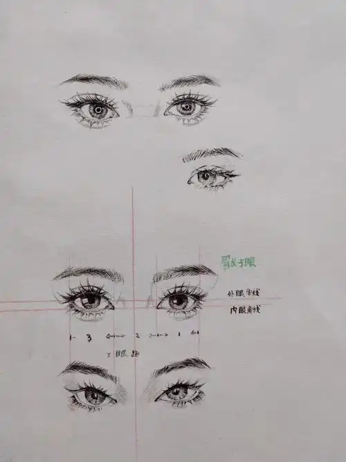 圣玛丁设计基础课——素描线条,比例学习(第一阶段)