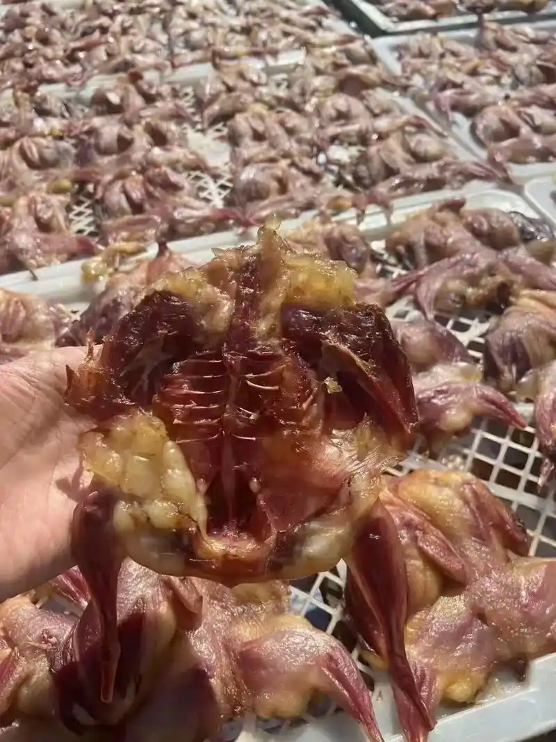 鹌鹑鸟干又香又美味