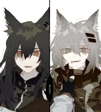 收集   点赞  评论  [双狼]拉普兰德x德克萨斯