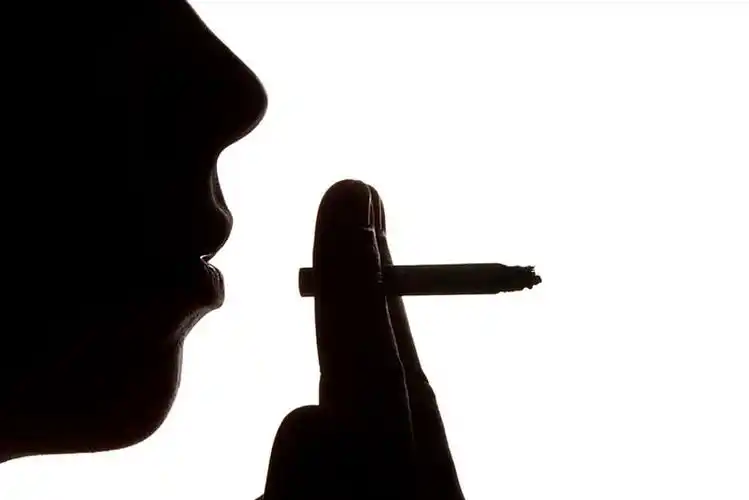 com)中国领先的正版图片视频素材网站