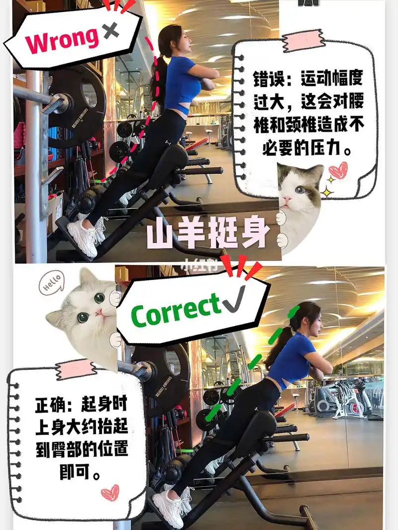 核心训练之山羊挺身,你做对了吗?