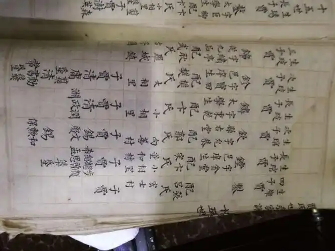 山西汾阳贾家庄《贾氏世系家谱》②