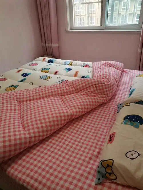 收货很满意,漂亮,这个价格买到,太值啦,被子是ab面,里面和床单都是