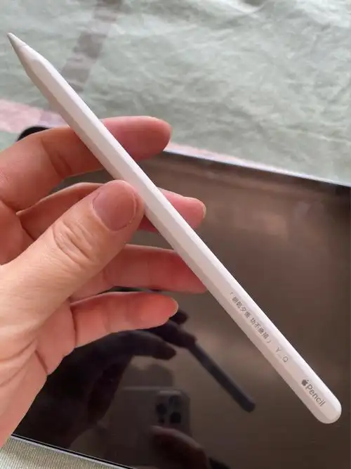 蓝色ipadair256gapplepencil二代刻字