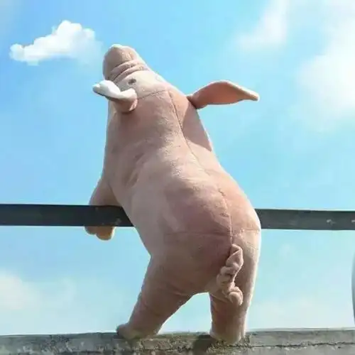 头像▏抖音最新沙雕头像