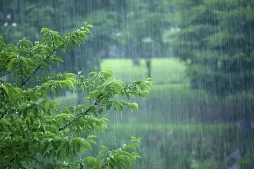 全国多地大雨不断,阴雨天肩膀酸痛不舒服如何拔罐调理__凤凰网