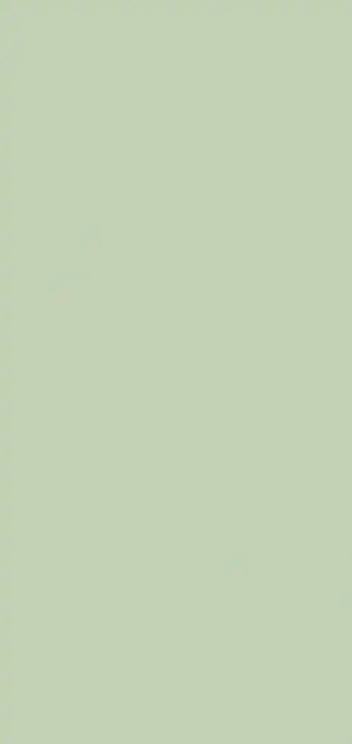 纯色抹茶绿壁纸全屏▽