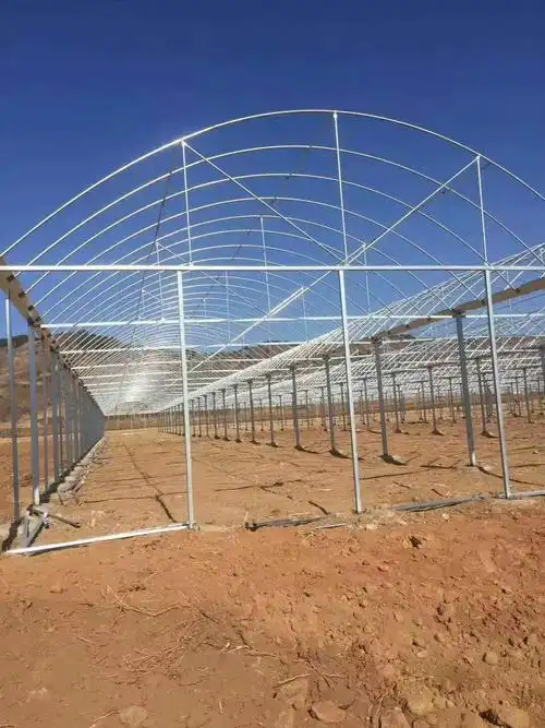 莒南香菇大棚搭建价格来电咨询