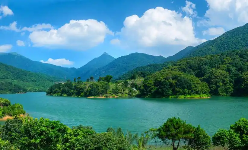 谢岗镇创建省级森林小镇迎现场核验