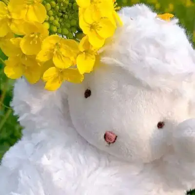 小清新可爱小羊头像/玫瑰掀起海的波涛 日落也浪漫