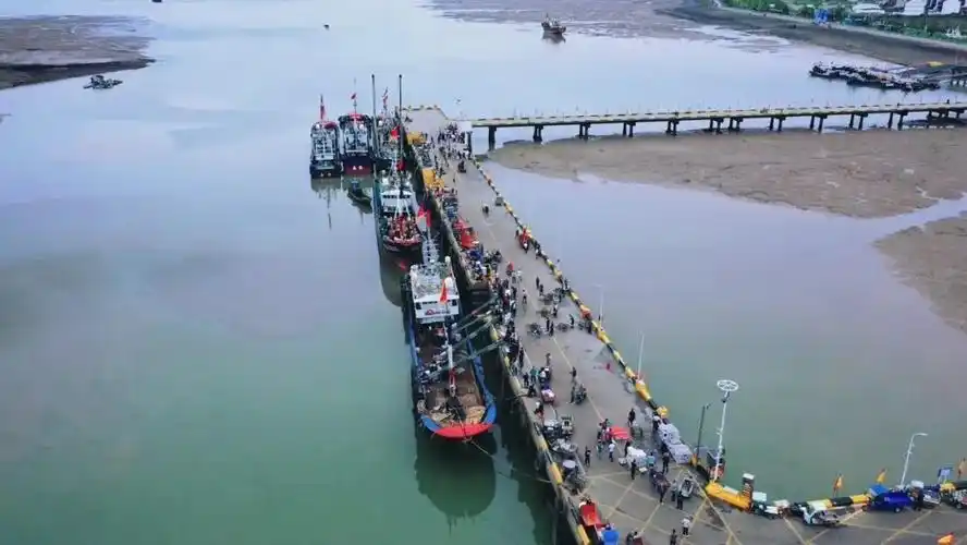 奉化桐照码头,好火热!