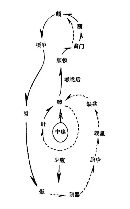 人体穴位按摩法 人体穴位图解 最全人体解剖图 打通任督二脉的方法
