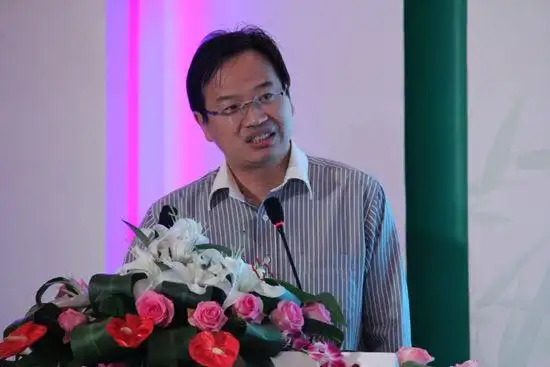 图文:国家信息中心经济预测部高辉清演讲