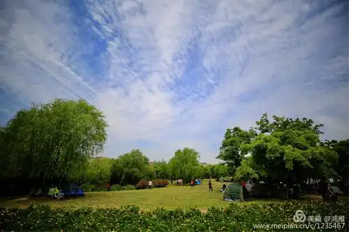 上海宝山滨江公园天然氧吧!