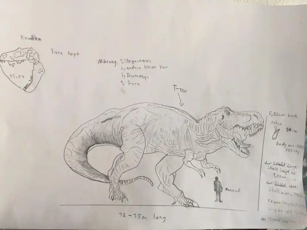 霸王龙 t-rex tyrannosaurus 今天把一直喜欢的t-rex 又画了一次