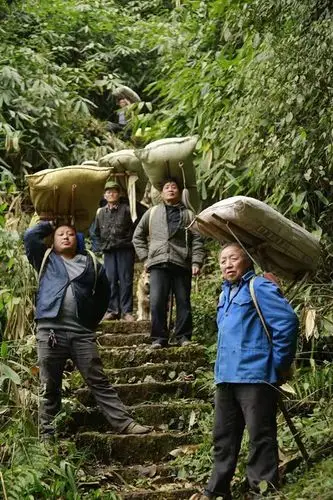 巴山背二歌大巴山里的天籁之音