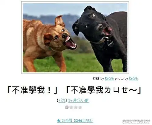 我裤裆里的怪物已经这么大了日式冷吐槽奉上