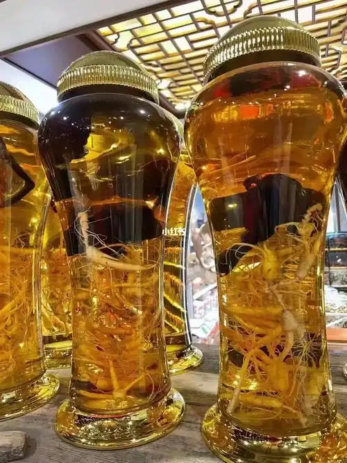 林下山参灵芝酒色泽金黄酒香醇厚