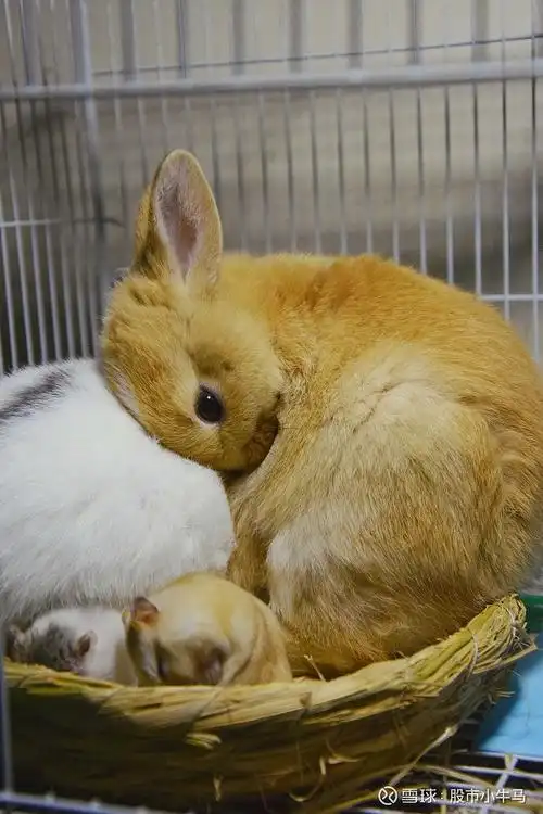 关山难越,谁悲失路之人? 唉,心疼老师,老师的账号正式停用了,虽然大多