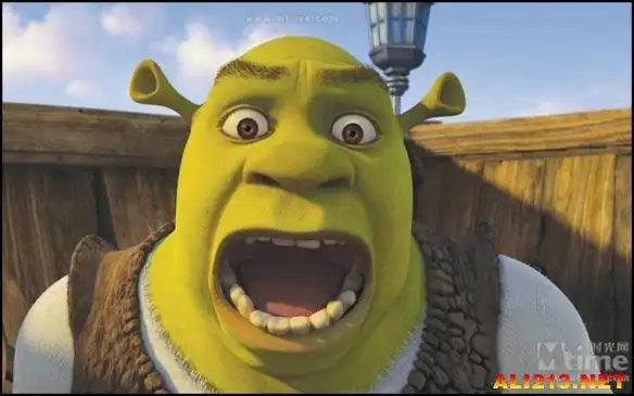 no.3《怪物史瑞克》史瑞克