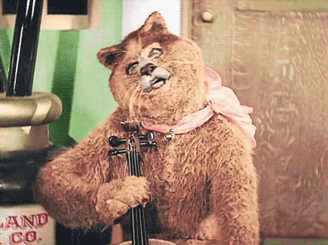 动物gif搞笑gif娱乐gif拉二胡gif