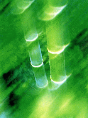 杭州动态静心教育培训有限公司深圳分公司