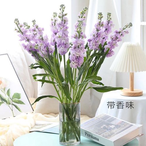 当季暴款清香型紫罗兰清新水养插花花束花艺花材昆明直发【15天内发货
