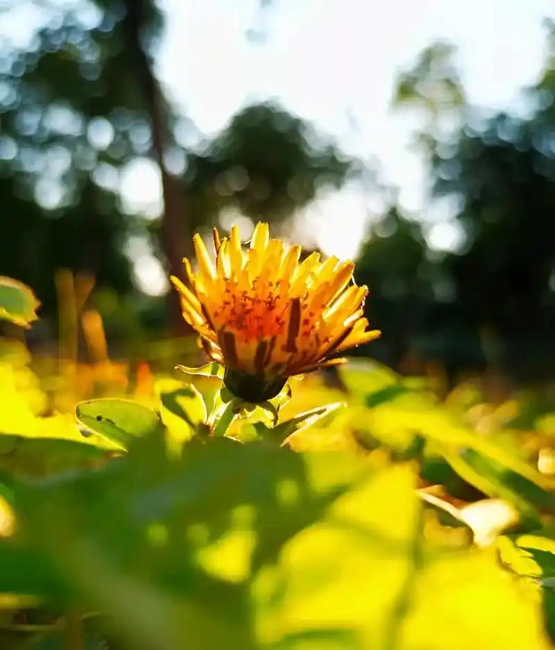 生活随拍记录美好瞬间 小儿摄影作品集 - 抖音