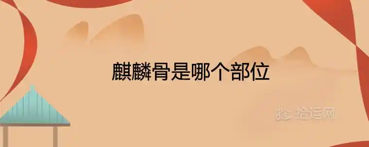麒麟骨是哪个部位代表着什么骨相寓意