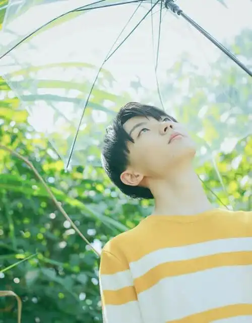 马嘉祺-一般图片铺-话本小说网