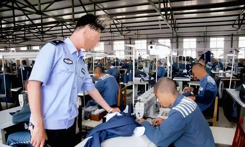 服刑人员_劳动_手机