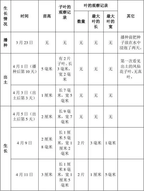 凤仙花的发芽与生长的观察记录表