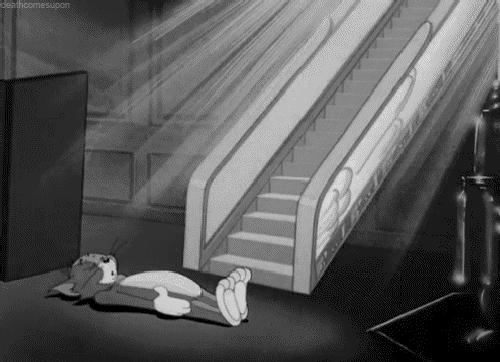 猫和老鼠tomandjerrygif动图_动态图_表情包下载_soogif