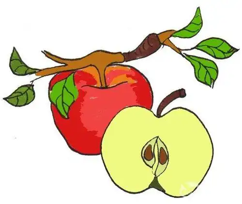 一张纸上画了好多红苹果简笔画