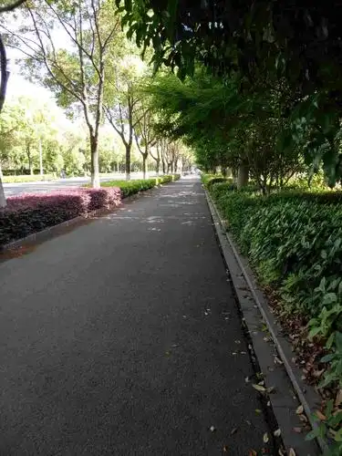 路边的风景