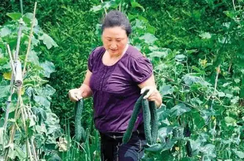 女排四连冠功臣杨锡兰现状退役后嫁到瑞士住1200平米房子