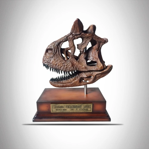 【包邮】【菊石制造】恐龙化石 食肉 牛龙 头骨模型